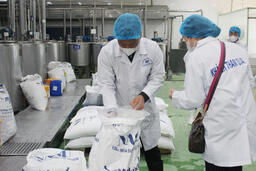 Cao điểm chống buôn lậu, hàng giả lĩnh vực y tế dịp Tết Bính Ngọ 2026