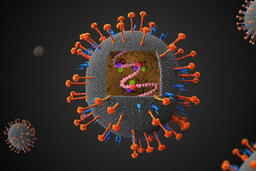 Bệnh do vi rút Nipah.